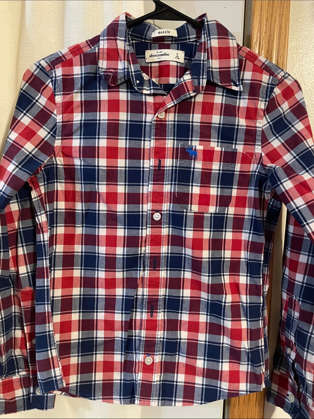 Abercrombie & Fitch Red, Navy & White Plaid Button-Down Shirt